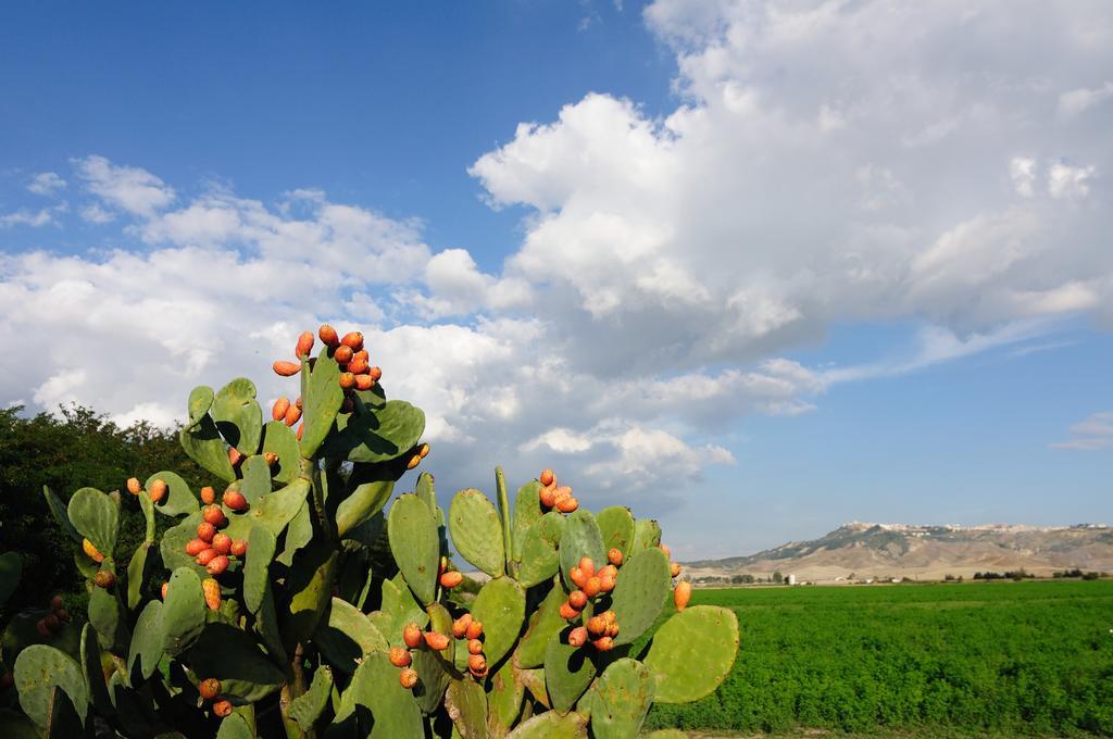 L'Orto Di Lucania Montescaglioso Szoba fotó